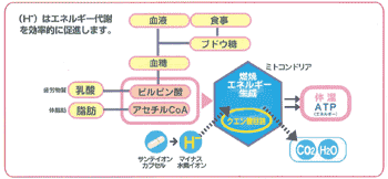 }CiXfCIig|ĵ͂炫