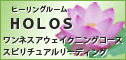 �q�[�����O���[���@�z���X