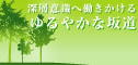 �w���₩�ȍ⓹�x