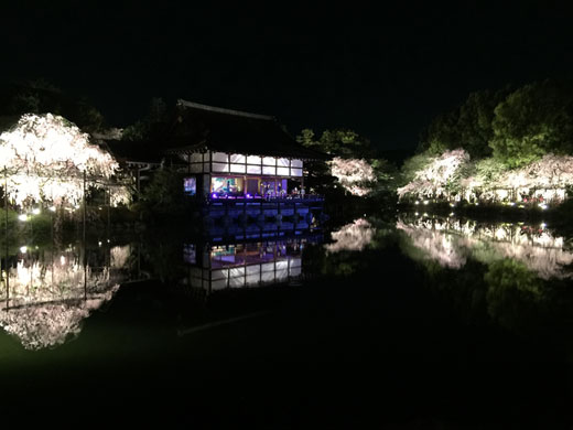 貴賓館で演奏される音楽と水面に映る桜が幻想的な東神苑